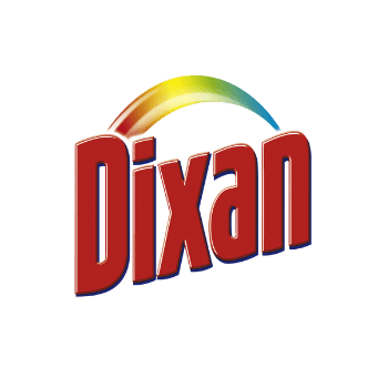 dixan logo circular storm